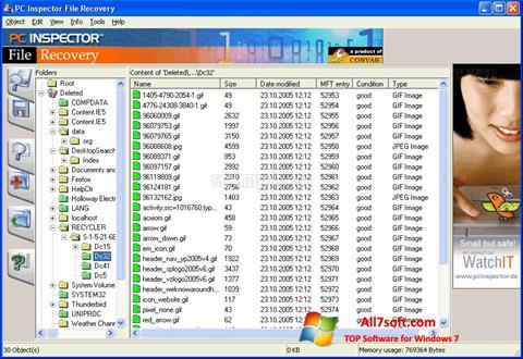 Ekran görüntüsü PC Inspector File Recovery Windows 7