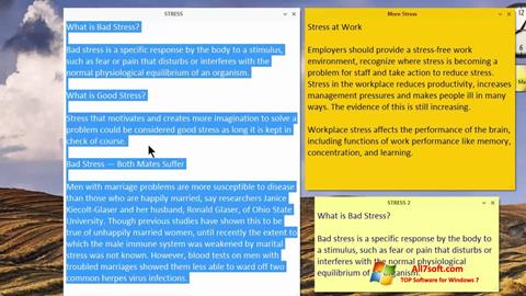 Ekran görüntüsü Simple Sticky Notes Windows 7