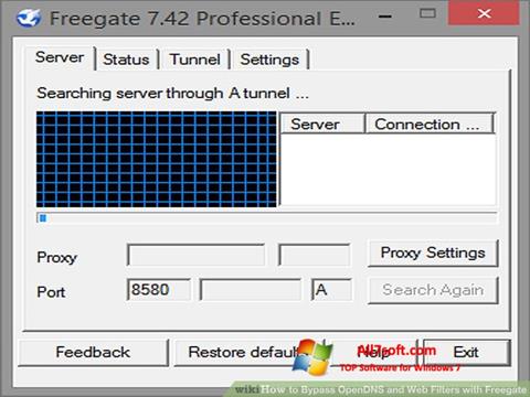 Ekran görüntüsü Freegate Windows 7